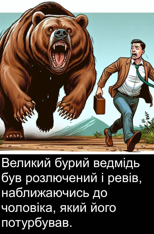 ревів: Великий бурий ведмідь був розлючений і ревів, наближаючись до чоловіка, який його потурбував.