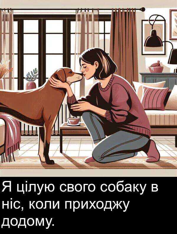 свого: Я цілую свого собаку в ніс, коли приходжу додому.