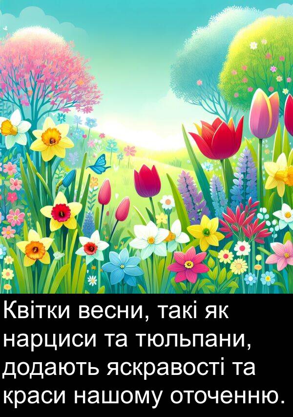 такі: Квітки весни, такі як нарциси та тюльпани, додають яскравості та краси нашому оточенню.