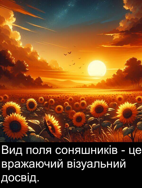 візуальний: Вид поля соняшників - це вражаючий візуальний досвід.