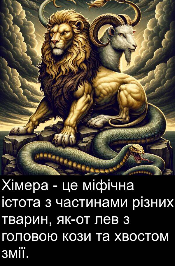 різних: Хімера - це міфічна істота з частинами різних тварин, як-от лев з головою кози та хвостом змії.