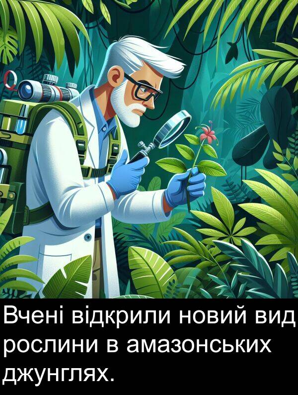 джунглях: Вчені відкрили новий вид рослини в амазонських джунглях.