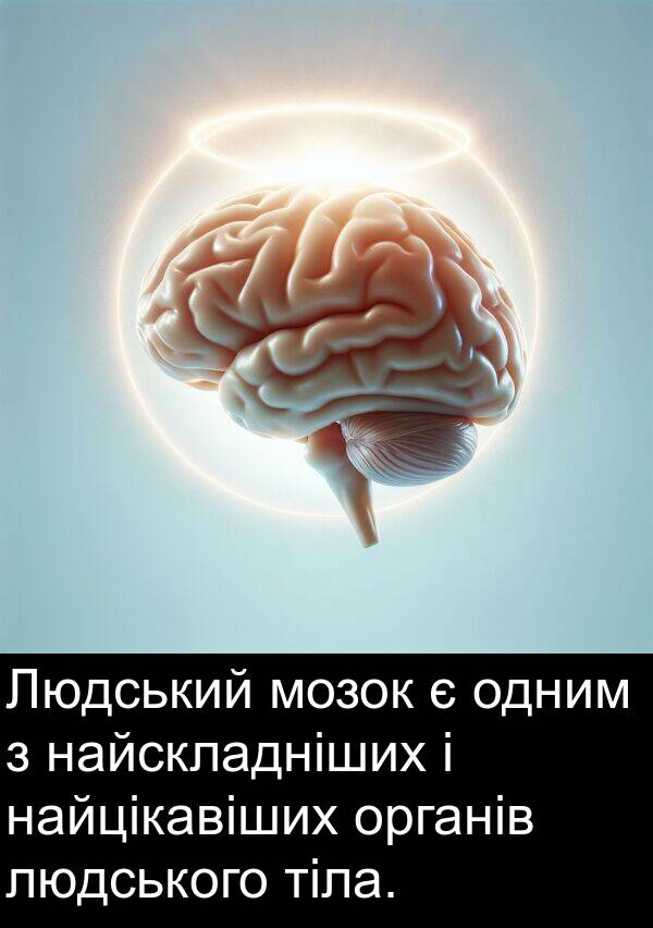 найцікавіших: Людський мозок є одним з найскладніших і найцікавіших органів людського тіла.