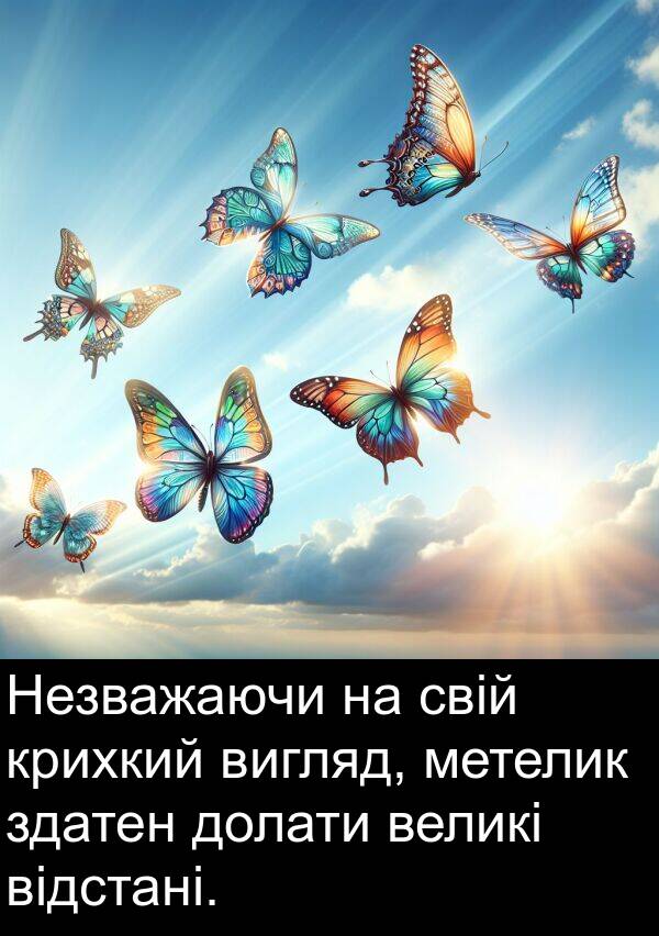 відстані: Незважаючи на свій крихкий вигляд, метелик здатен долати великі відстані.