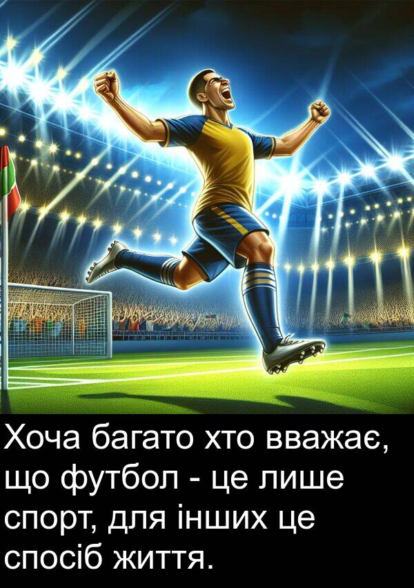 інших: Хоча багато хто вважає, що футбол - це лише спорт, для інших це спосіб життя.