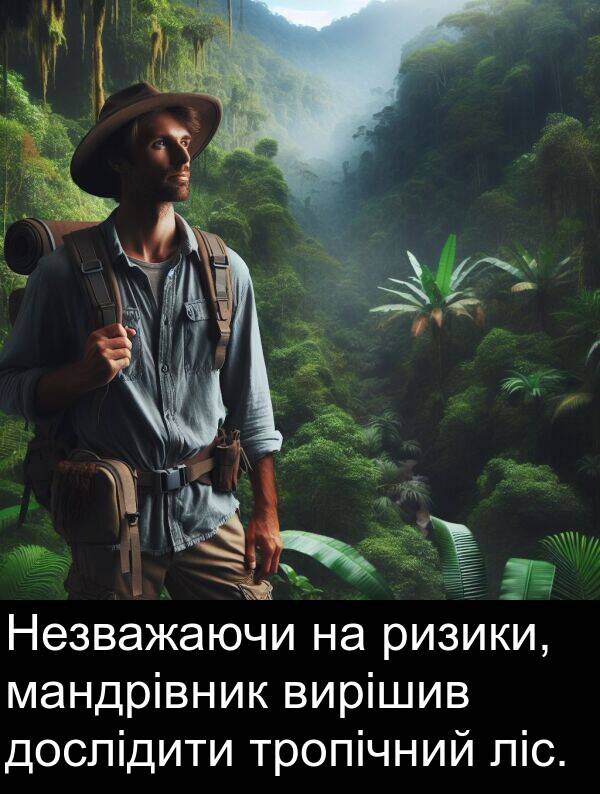 ризики: Незважаючи на ризики, мандрівник вирішив дослідити тропічний ліс.