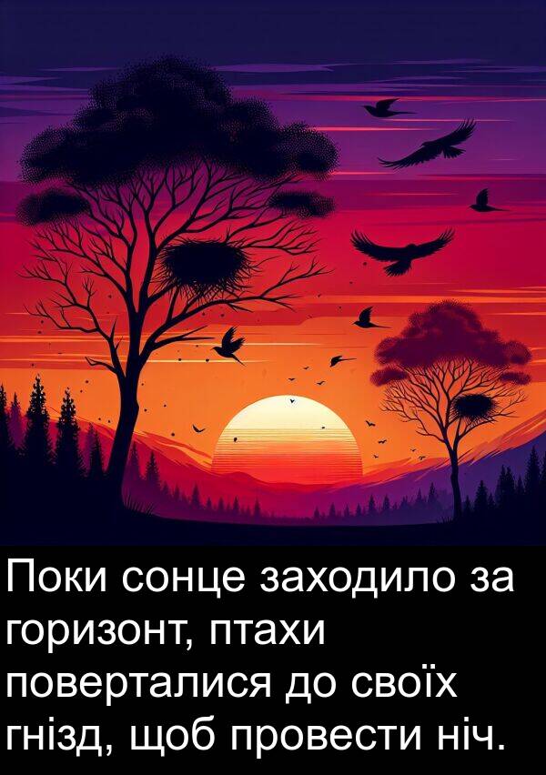 ніч: Поки сонце заходило за горизонт, птахи поверталися до своїх гнізд, щоб провести ніч.