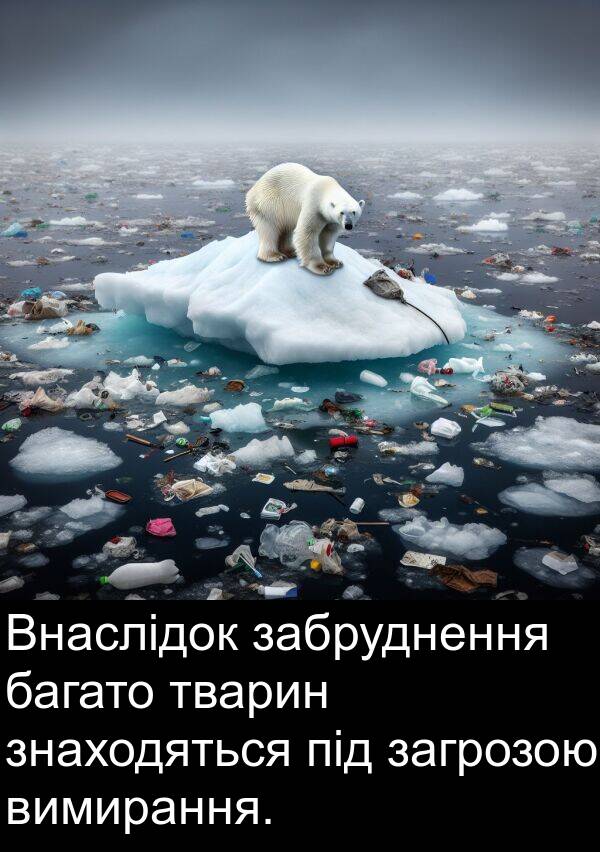 забруднення: Внаслідок забруднення багато тварин знаходяться під загрозою вимирання.