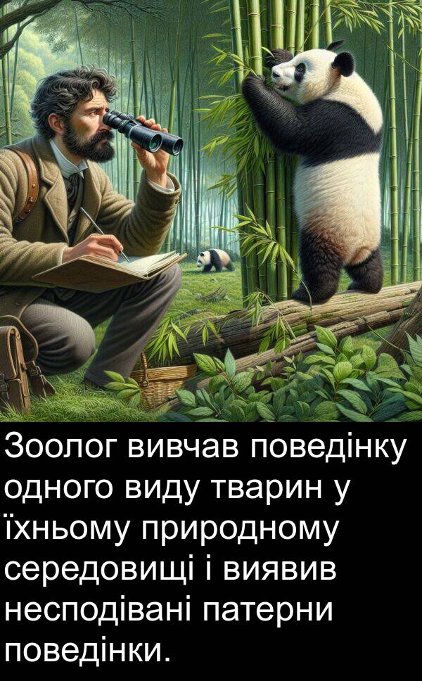 тварин: Зоолог вивчав поведінку одного виду тварин у їхньому природному середовищі і виявив несподівані патерни поведінки.