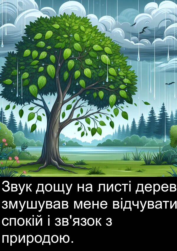 дерев: Звук дощу на листі дерев змушував мене відчувати спокій і зв'язок з природою.