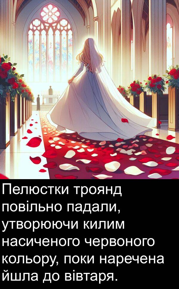 падали: Пелюстки троянд повільно падали, утворюючи килим насиченого червоного кольору, поки наречена йшла до вівтаря.