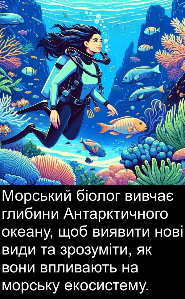 екосистему: Морський біолог вивчає глибини Антарктичного океану, щоб виявити нові види та зрозуміти, як вони впливають на морську екосистему.