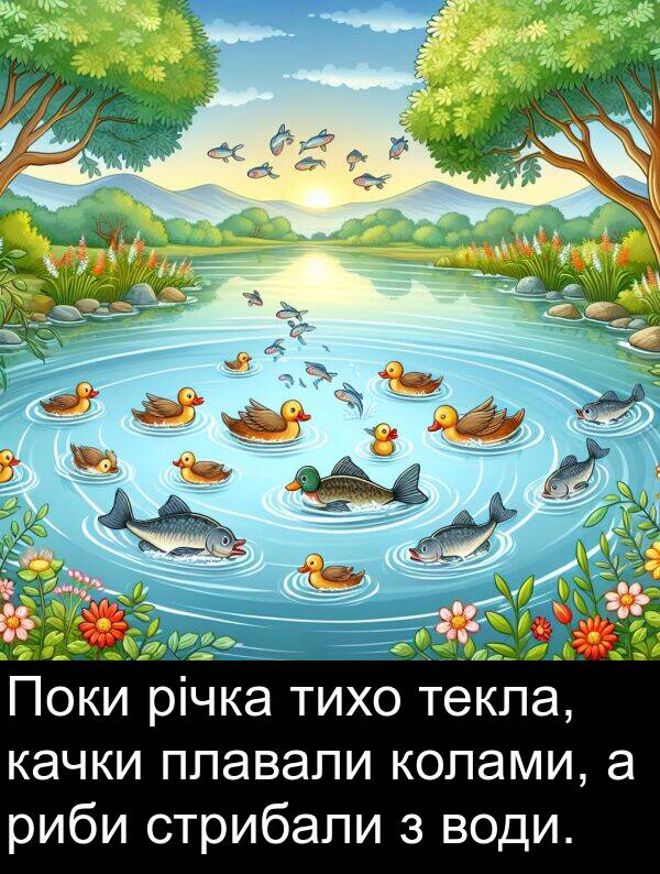 риби: Поки річка тихо текла, качки плавали колами, а риби стрибали з води.