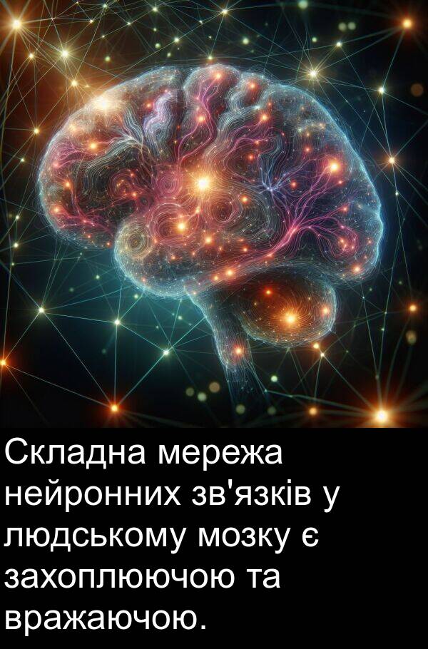 людському: Складна мережа нейронних зв'язків у людському мозку є захоплюючою та вражаючою.