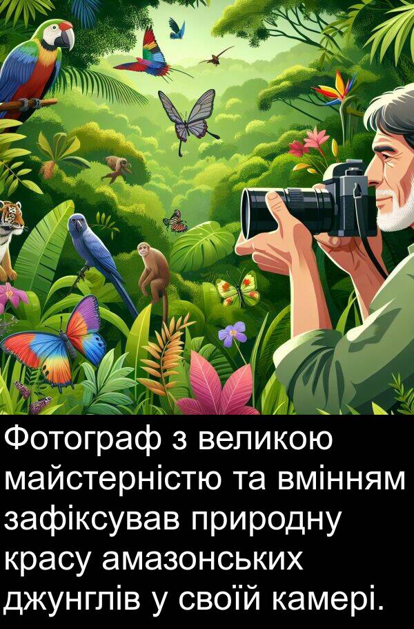 джунглів: Фотограф з великою майстерністю та вмінням зафіксував природну красу амазонських джунглів у своїй камері.