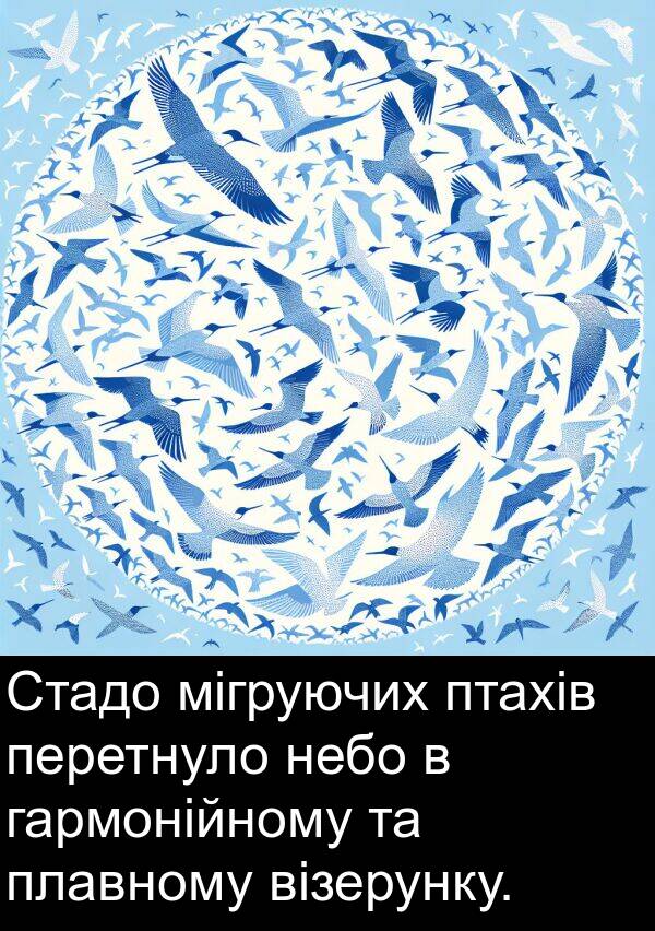 мігруючих: Стадо мігруючих птахів перетнуло небо в гармонійному та плавному візерунку.