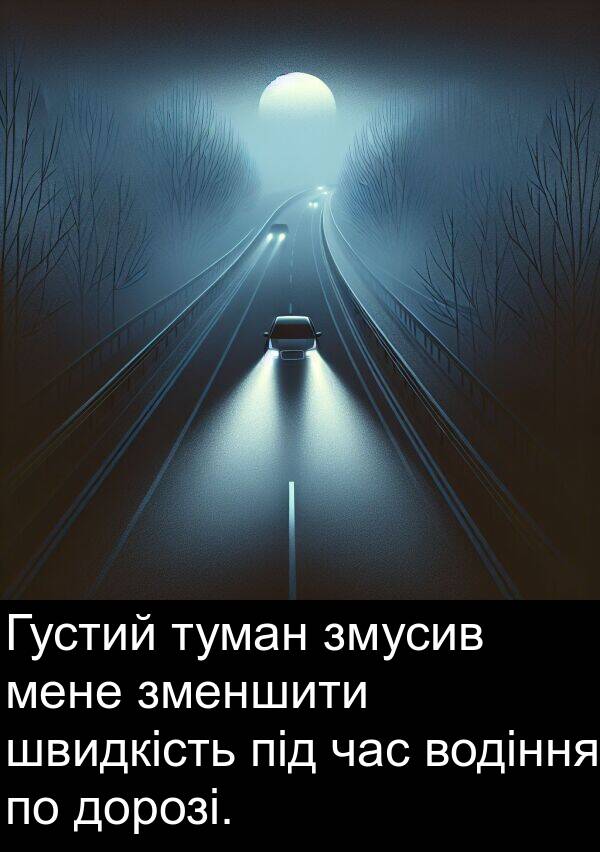 швидкість: Густий туман змусив мене зменшити швидкість під час водіння по дорозі.