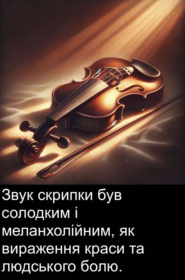 меланхолійним: Звук скрипки був солодким і меланхолійним, як вираження краси та людського болю.