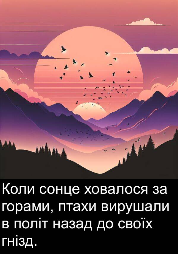 назад: Коли сонце ховалося за горами, птахи вирушали в політ назад до своїх гнізд.