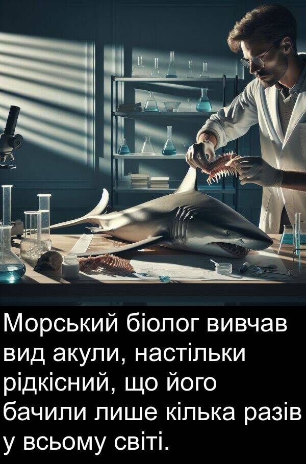 акули: Морський біолог вивчав вид акули, настільки рідкісний, що його бачили лише кілька разів у всьому світі.