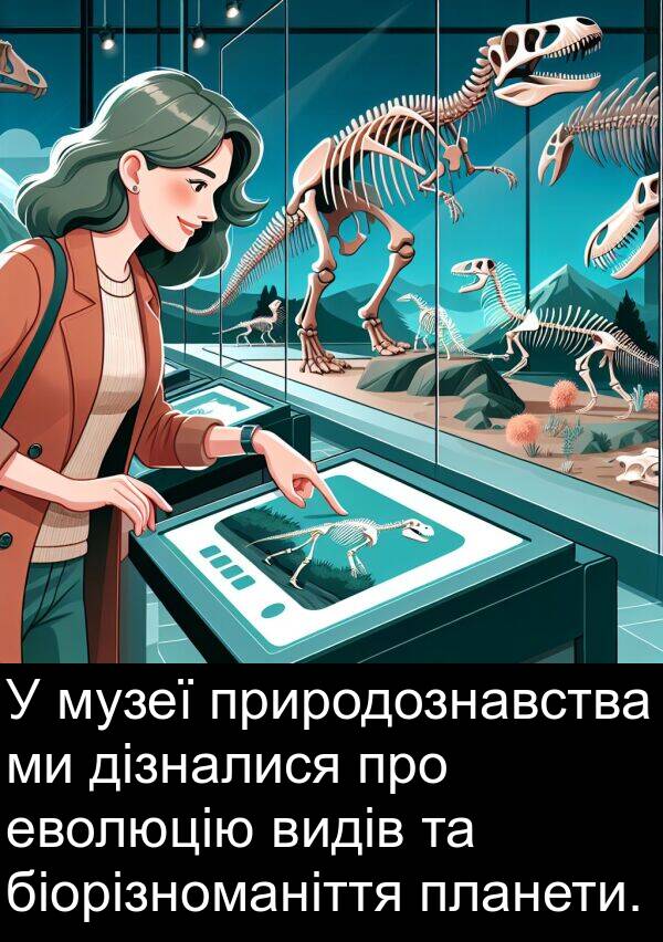 еволюцію: У музеї природознавства ми дізналися про еволюцію видів та біорізноманіття планети.