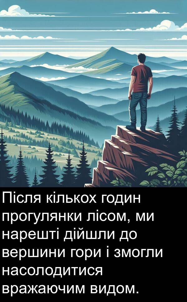 дійшли: Після кількох годин прогулянки лісом, ми нарешті дійшли до вершини гори і змогли насолодитися вражаючим видом.