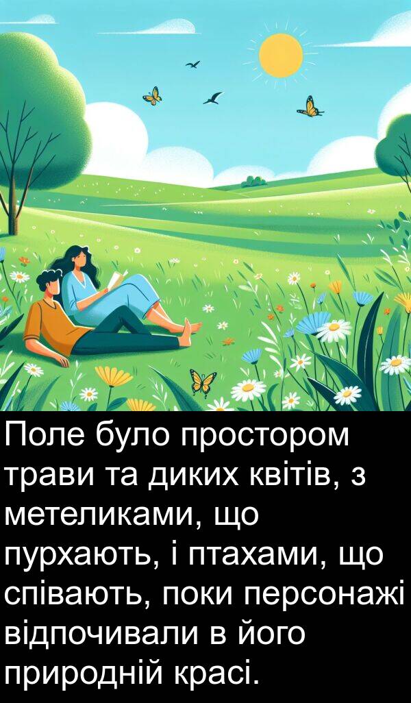 диких: Поле було простором трави та диких квітів, з метеликами, що пурхають, і птахами, що співають, поки персонажі відпочивали в його природній красі.