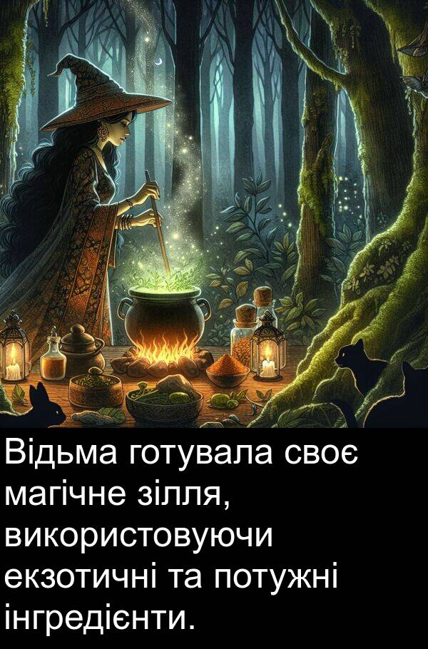 екзотичні: Відьма готувала своє магічне зілля, використовуючи екзотичні та потужні інгредієнти.