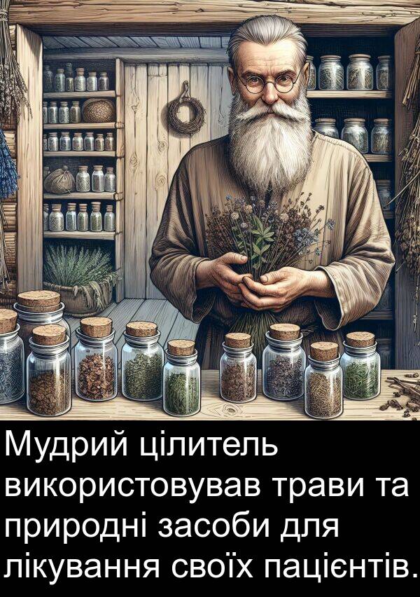 цілитель: Мудрий цілитель використовував трави та природні засоби для лікування своїх пацієнтів.