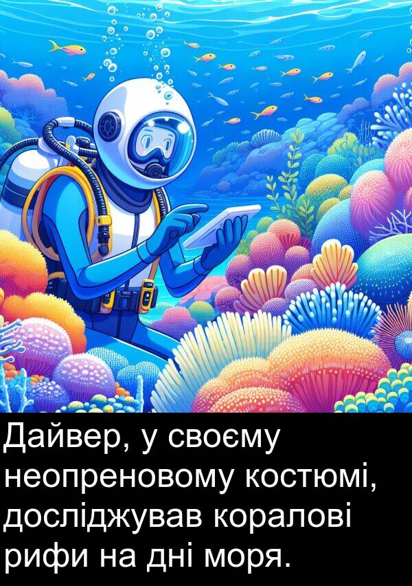 своєму: Дайвер, у своєму неопреновому костюмі, досліджував коралові рифи на дні моря.