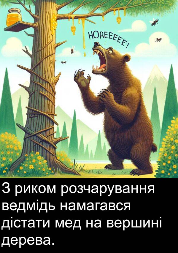 дістати: З риком розчарування ведмідь намагався дістати мед на вершині дерева.