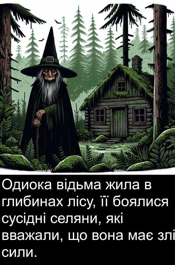 сили: Одиока відьма жила в глибинах лісу, її боялися сусідні селяни, які вважали, що вона має злі сили.