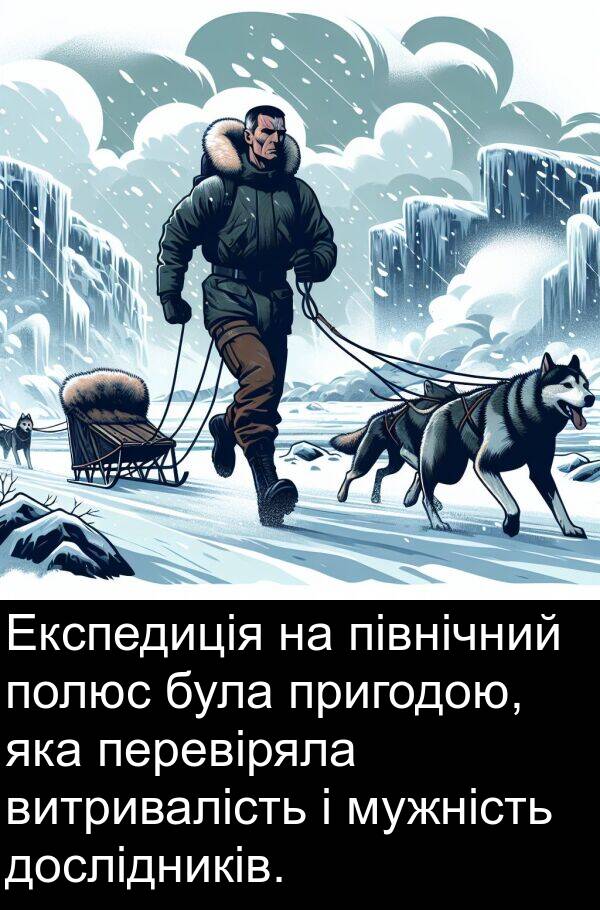 північний: Експедиція на північний полюс була пригодою, яка перевіряла витривалість і мужність дослідників.