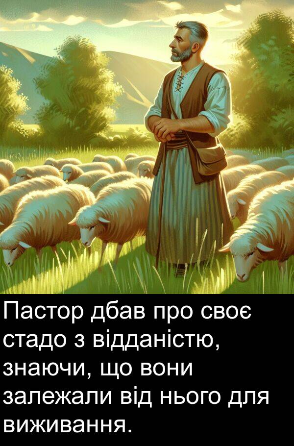 дбав: Пастор дбав про своє стадо з відданістю, знаючи, що вони залежали від нього для виживання.