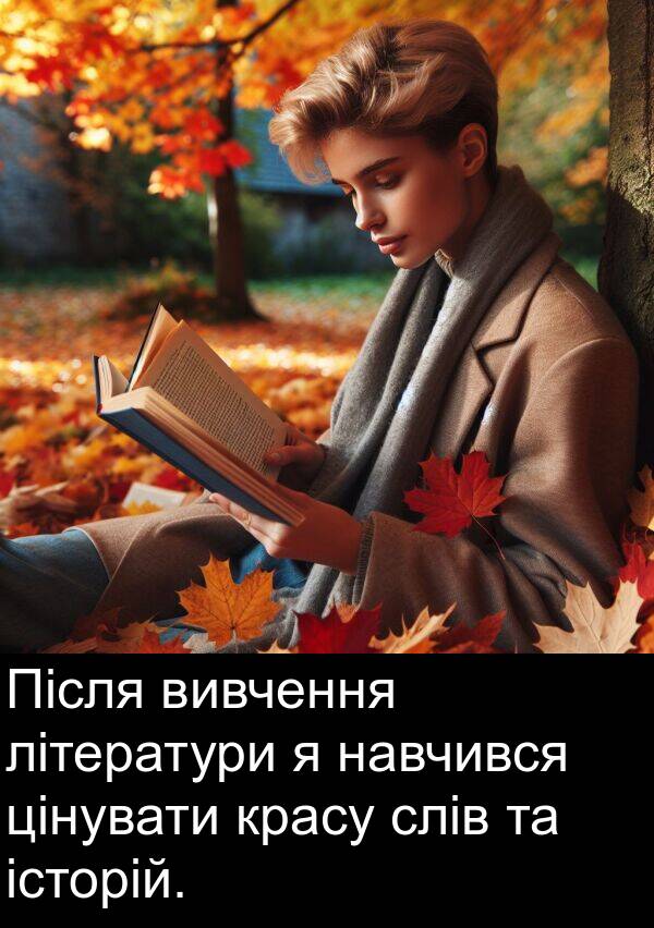 навчився: Після вивчення літератури я навчився цінувати красу слів та історій.