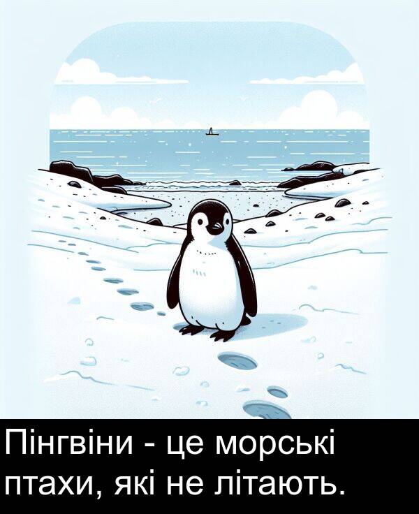 літають: Пінгвіни - це морські птахи, які не літають.