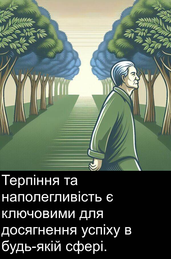 успіху: Терпіння та наполегливість є ключовими для досягнення успіху в будь-якій сфері.