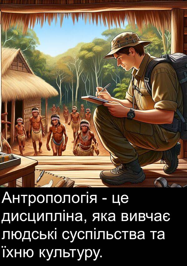 дисципліна: Антропологія - це дисципліна, яка вивчає людські суспільства та їхню культуру.