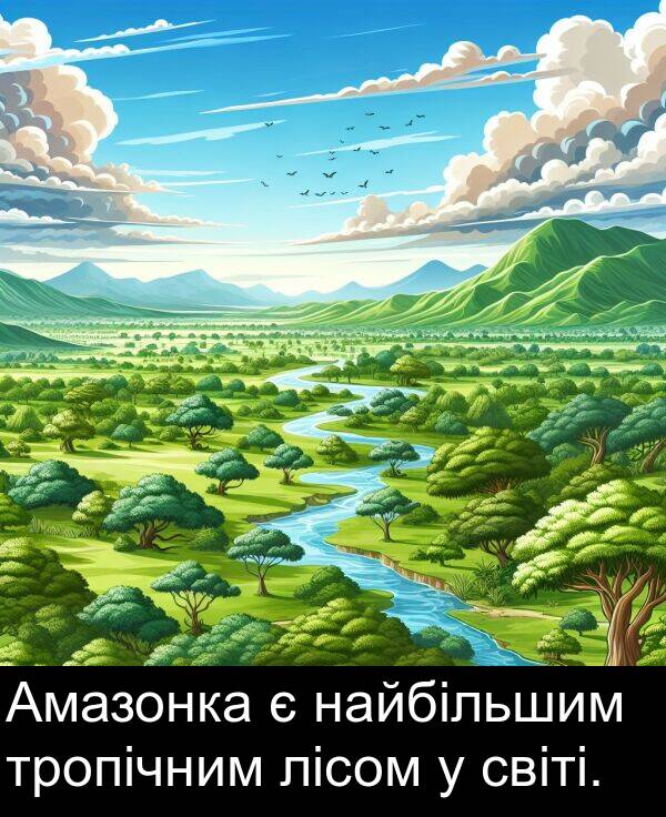 світі: Амазонка є найбільшим тропічним лісом у світі.