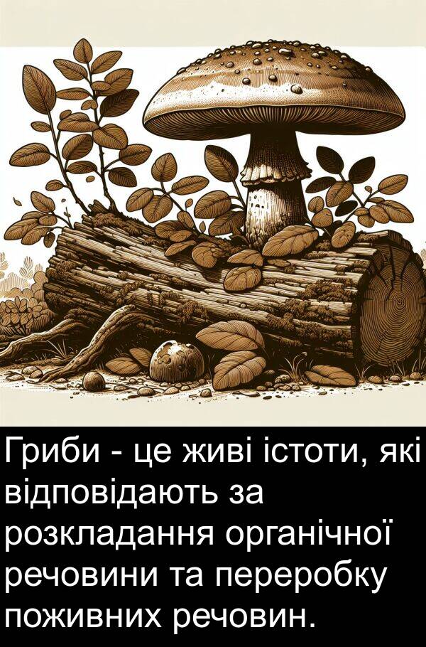 речовин: Гриби - це живі істоти, які відповідають за розкладання органічної речовини та переробку поживних речовин.