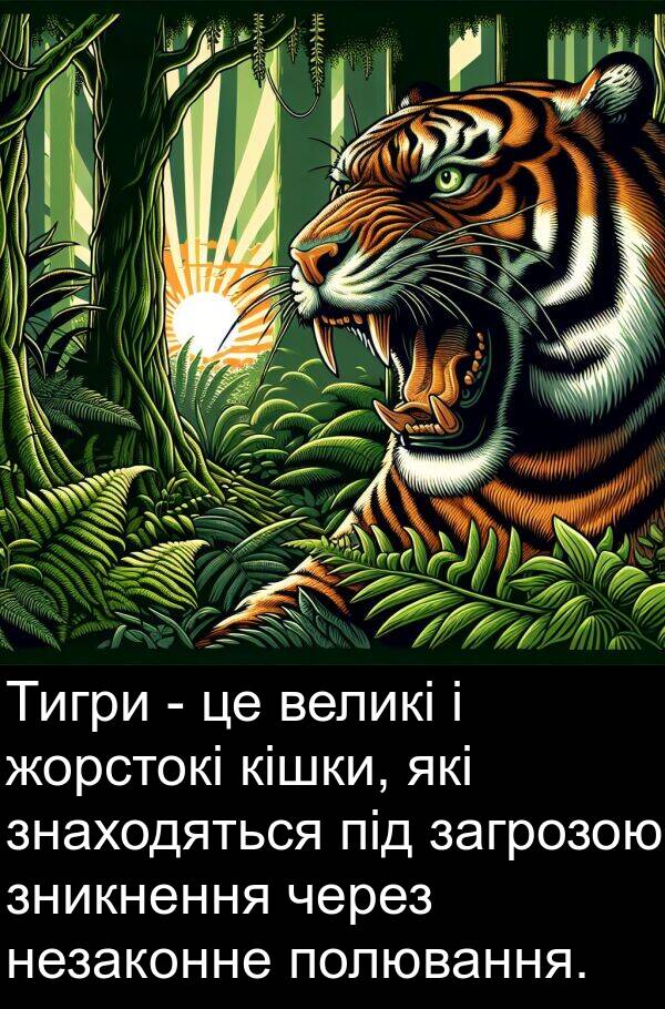 загрозою: Тигри - це великі і жорстокі кішки, які знаходяться під загрозою зникнення через незаконне полювання.