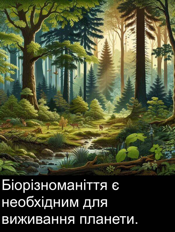 планети: Біорізноманіття є необхідним для виживання планети.