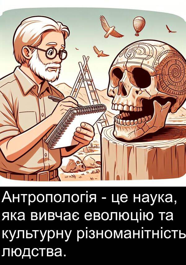 еволюцію: Антропологія - це наука, яка вивчає еволюцію та культурну різноманітність людства.