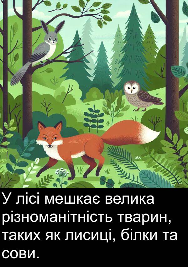 різноманітність: У лісі мешкає велика різноманітність тварин, таких як лисиці, білки та сови.