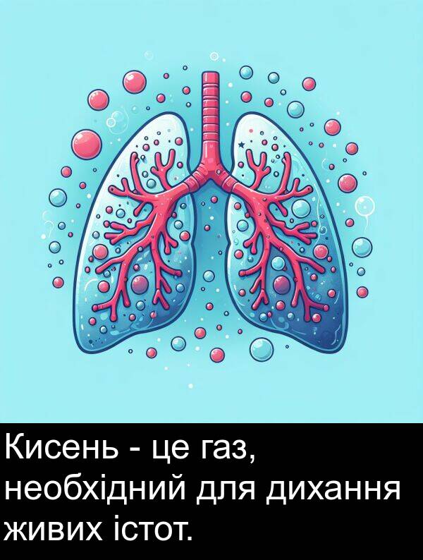 дихання: Кисень - це газ, необхідний для дихання живих істот.