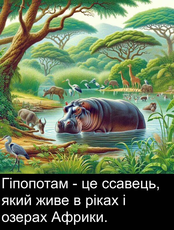 ріках: Гіпопотам - це ссавець, який живе в ріках і озерах Африки.