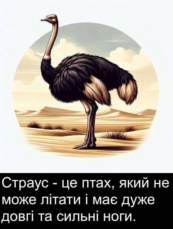 літати: Страус - це птах, який не може літати і має дуже довгі та сильні ноги.