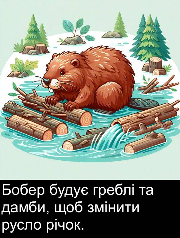річок: Бобер будує греблі та дамби, щоб змінити русло річок.