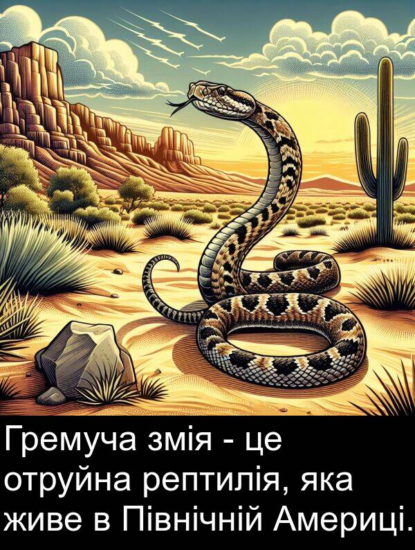 рептилія: Гремуча змія - це отруйна рептилія, яка живе в Північній Америці.