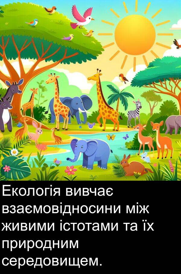 між: Екологія вивчає взаємовідносини між живими істотами та їх природним середовищем.